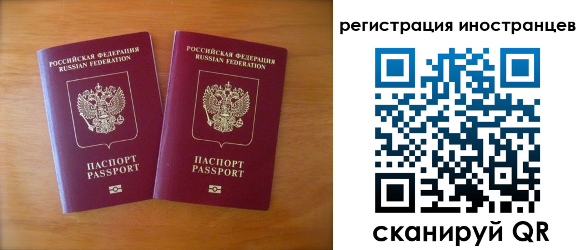 прописка поиск в Курской области