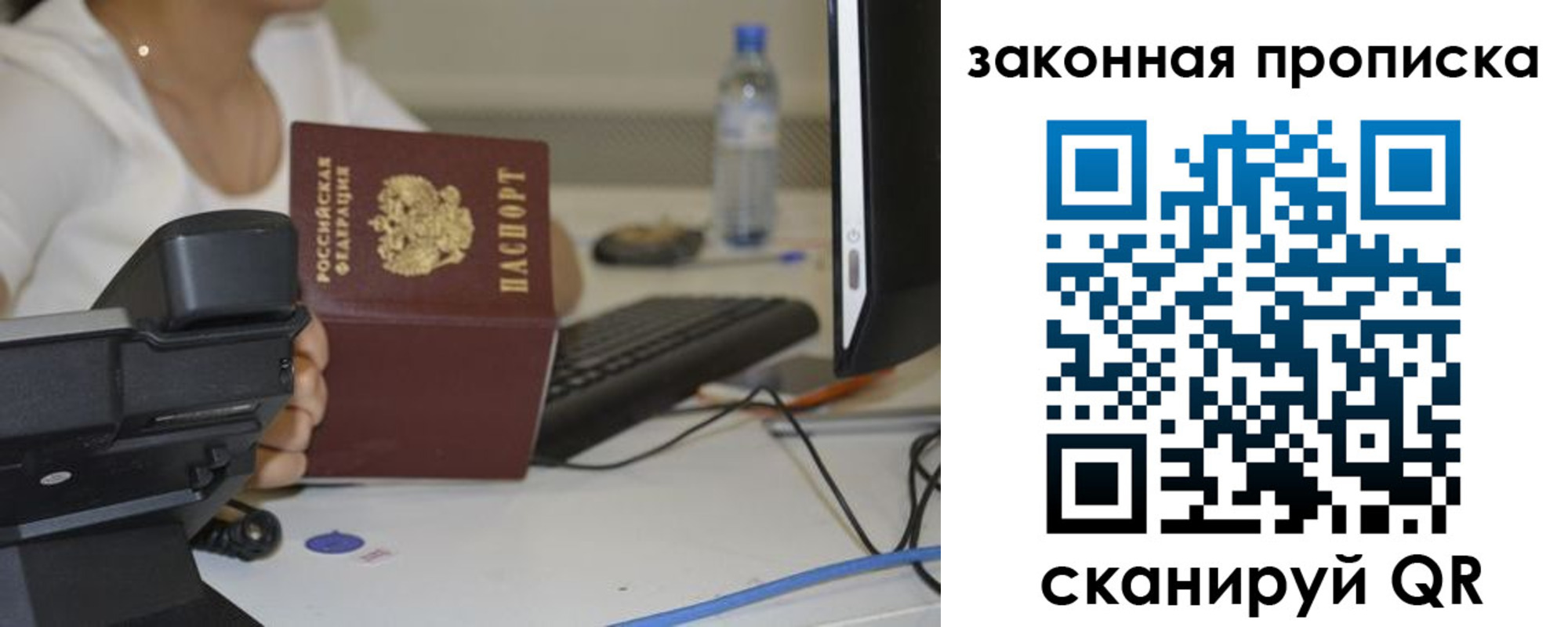 прописка законно в Курской области