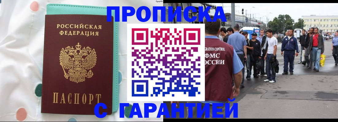временная регистрация поиск в Курской области